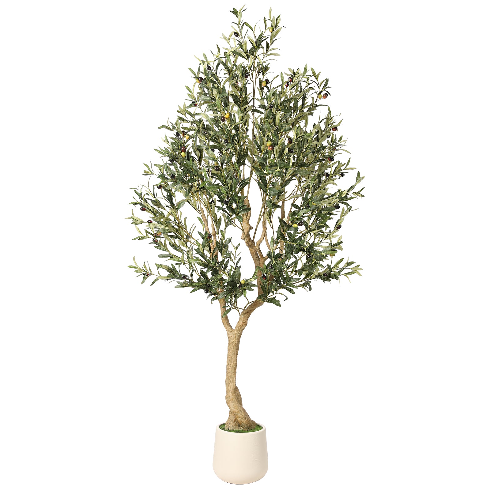 realead 6ft olive tree with planter